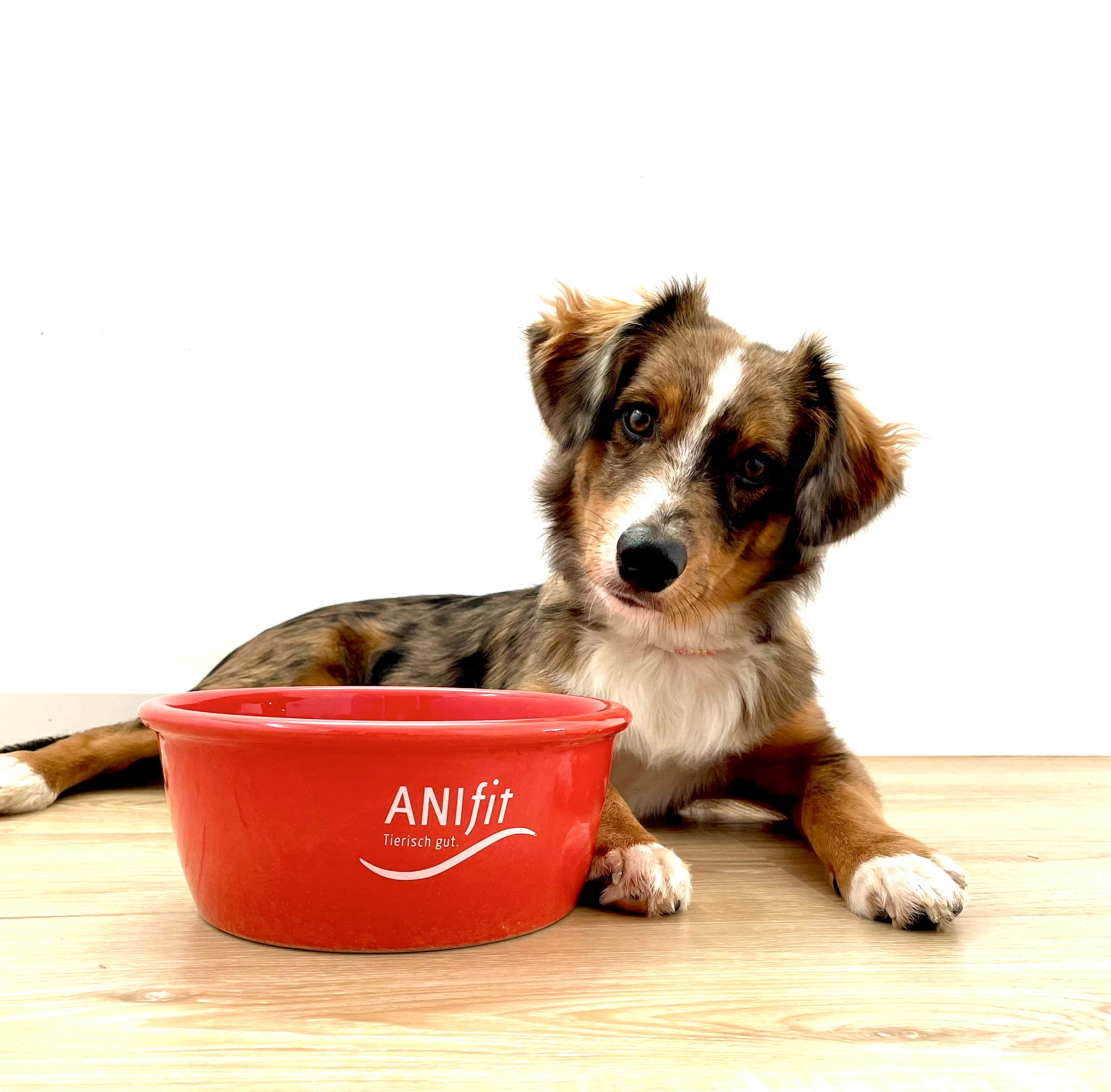 ANIfit Hundefutter