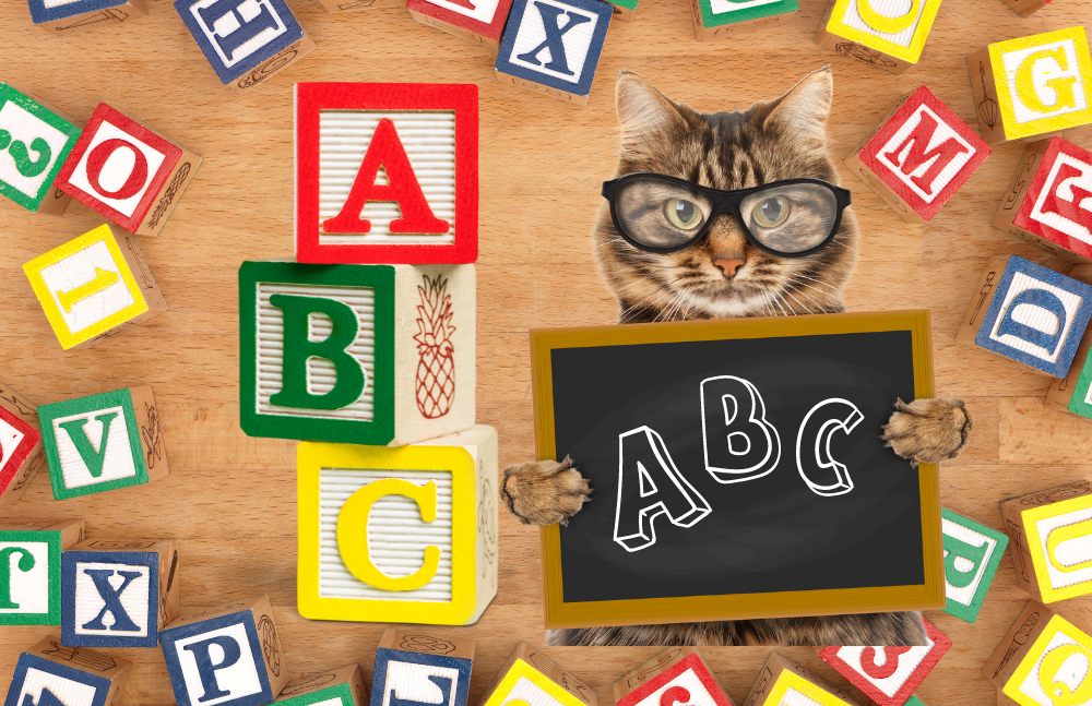 Katzen ABC