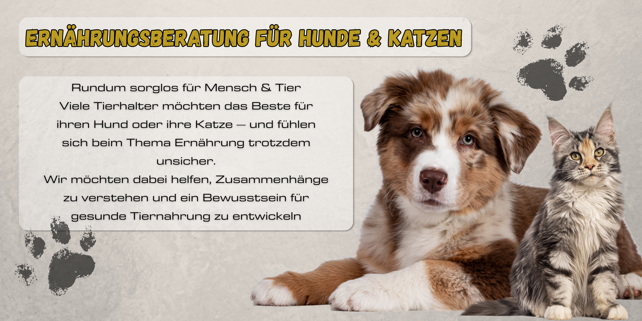 Ernährungsberatung für Hunde & Katzen